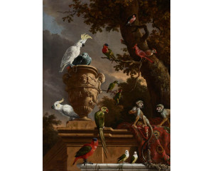 Fototapete mit einer bunten Sammlung exotischer Tiere und Vögel, darunter Totenkopfäffchen, Kakadus, ein Rotschwanzpapagei und ein Lori-Weibchen, inspiriert von Melchior d'Hondecoeters Gemälde Die Menagerie.