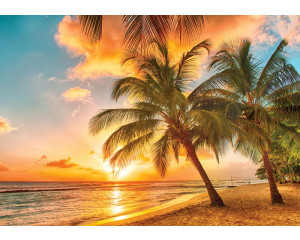 Tropischer Sonnenuntergang mit goldenem Himmel, ruhigem Meer und Palmen an der Küste, Fototapete, die Wärme und Ruhe ausstrahlt.