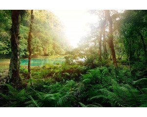Fototapete eines tiefen tropischen Waldes mit einem hellblauen See, umgeben von üppiger Natur.