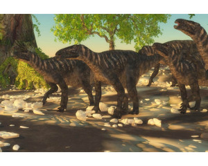 Eine Dino-Familie, bestehend aus verschiedenen Dinosaurierarten, abgebildet auf einer verspielten Fototapete.