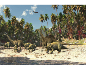 Fußball-Fototapete für Jugendliche und Kinder, sportlich und dynamisch.