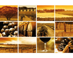 Fototapete mit Weinbergen und Traubenfeldern, kombiniert mit Weingläsern und französischen Landschaften.