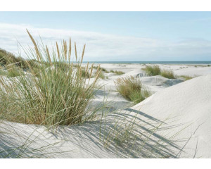 Fototapete mit weißen Sanddünen, Strandhafer und blauem Himmel an der Küste.
