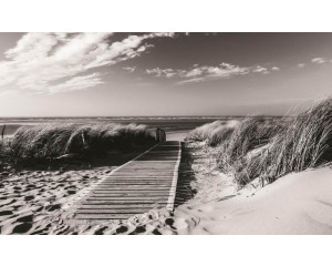 Schwarz-Weiß-Fototapete mit Dünen und Strand, ideal für einen minimalistischen und ruhigen Look.