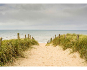 Fototapete Dünen an der Nordsee mit einer idyllischen Aussicht auf wogende Sanddünen und wogendes Strandgras unter einem klaren blauen Himmel.