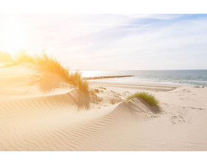 Fototapete von Dünen, die sanft zum Strand führen, mit klarem blauen Himmel und ruhigem Meer.