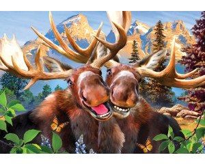 Elche in einem verrückten Rennen, Fototapete mit glücklichen Tieren für Kinder und Spielzimmer.