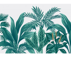 Exotische Pflanzen in einer tropischen Dschungelumgebung, eine Fototapete, die die Natur mit frischen Grüntönen zum Leben erweckt.