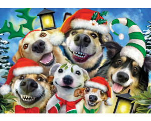 Lustige Hunde und Weihnachten, verrückte Tierfototapete für eine fröhliche und festliche Atmosphäre.