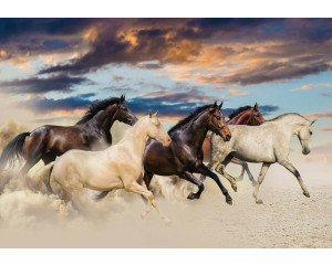 Fototapete mit galoppierenden Pferden in einer natürlichen Umgebung, voller Bewegung und Energie.
