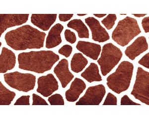Fototapete des Fells einer Giraffe, mit einer Nahaufnahme des Musters des Fells.