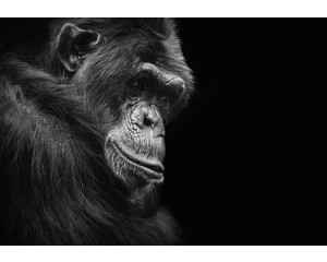 Universum und Planeten im Weltraum Fototapete, beeindruckend und futuristisch.