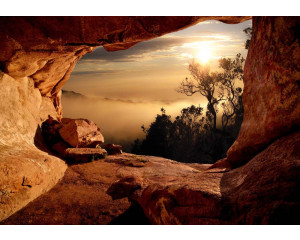 Blick auf einen nebligen Wald aus einer Höhle, mit 3D-Effekten für Tiefe und Atmosphäre.