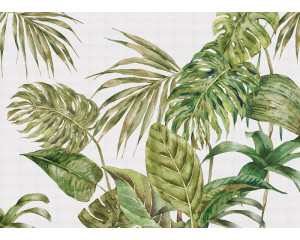Eine Fototapete mit großen grünen Blättern, mit üppigen tropischen Blättern in tiefen Grüntönen, die ein lebendiges und natürliches Aussehen verleihen.