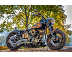 Fototapete eines Harley Davidson Motorrads, kraftvoll und stilvoll.