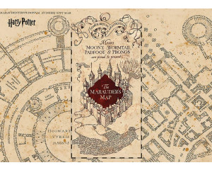 Eine Fototapete mit der Harry Potter Marauder's Map - Sneak Path Guide, die die detaillierte Karte von Hogwarts mit magischen Pfaden und versteckten Durchgängen zeigt.