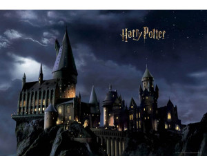 Eine Fototapete mit Harry Potters Hogwarts bei Nacht, auf der das kultige Schloss unter dem Sternenhimmel geheimnisvoll leuchtet, umgeben von einer magischen Atmosphäre.