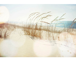 Helmgras entlang der Küste und Dünen auf diesem Strand Fototapete, mit einem beruhigenden Meer in der Ferne.