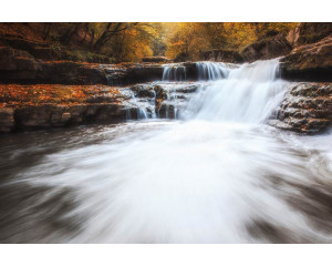 Fototapete mit einer herbstlichen Waldlandschaft, in der ein Wasserfall durch die bunten Bäume fließt.