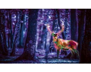 Fluoreszierende Hirsche in einem Wald auf Fototapete, in lila.