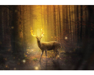 Fototapete eines Rehs in der prallen Sonne, Wald und märchenhafter Atmosphäre.