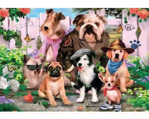 Hunde im Karneval, verrückte Tierfototapete mit einem fröhlichen und festlichen Look.