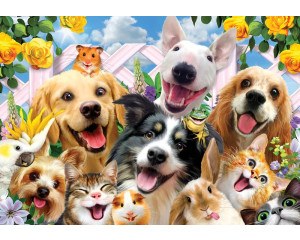 Hunde und Katzen verrückte Tierchaos, lustige Fototapete mit einer spielerischen und humorvollen Atmosphäre.