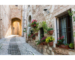 Eine enge italienische Straße in einer malerischen Stadt, abgebildet auf einer stimmungsvollen Fototapete.