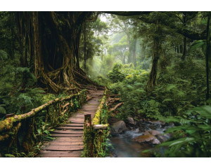 Fotobehang jungle brug door het regenwoud met houten brug, hoge bomen en een stromend beekje.