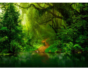 Eine bezaubernde Fototapete mit Dschungelpflanzen und tropischen Blumen, umgeben von Natur und einem tropischen See.