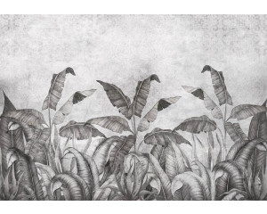 Schwarz-weiße Fototapete mit Dschungelpflanzen und Blättern auf einem Betonhintergrund, mit einem kühnen und stilvollen Kontrast.