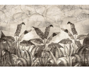 Fototapete mit Dschungelpflanzen und Blättern, die vor einer Betonwand wachsen, mit einem natürlichen und beruhigenden Gefühl.