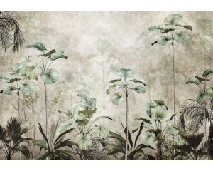 Fototapete mit schönen Dschungelpflanzen für eine Betonwand.