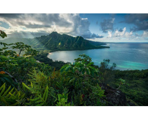 Jurassic Island Fototapete mit beeindruckenden Ansichten von Bergen und üppiger Natur, ideal für Abenteuerräume.