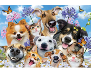 Lustige Hunde und Katzen, die zusammen auf einer Fototapete stehen.