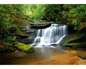 Fototapete Mächtiger Wasserfall im Wald