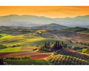 Fototapete einer toskanischen Landschaft in Italien, wo Weinberge und Berge die ruhige Aussicht dominieren.