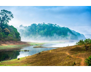 Fototapete einer Landschaft, in der ein nebliger Wald die Hügel bedeckt, mit einer heiteren und friedlichen Atmosphäre.