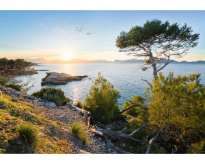 Fototapete Pazifischer Ozean, perfekt für einen ruhigen und entspannenden Raum.