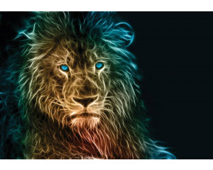 Blauäugiger Löwe Fototapete, beeindruckendes Tierporträt.