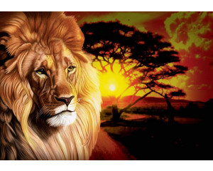 Fototapete eines Löwen bei Sonnenuntergang in afrikanischer Landschaft.