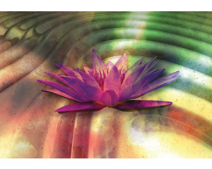 Lilie Blumen Fototapete, 3D-Effekt mit weichen Farben und Texturen.