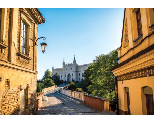 Detaillierte Fototapete der Stadt Lublin mit Straßen- und Denkmaldetails im 3D-Stil.