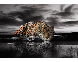 Ein Leopard, ein Panther und ein Gepard, dynamisch gerendert auf dieser naturgetreuen Fototapete mit lebendigen Details.