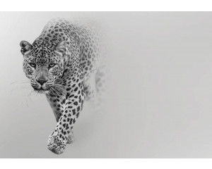 Fototapete eines Leoparden, mit naturgetreuen Farben und detaillierter Fellwiedergabe.