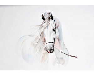 Fototapete eines majestätischen weißen Pferdes in einer dynamischen Pose, ideal für Pferdeliebhaber.