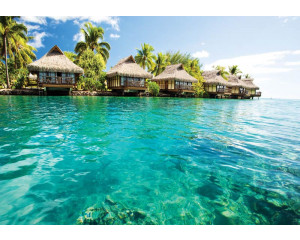 Malediven, tropisch gerendert auf einer Fototapete mit Meer, Sonne und Strand für eine sommerliche Atmosphäre.