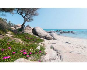 Mediterrane Träume Strand Fototapete, perfekt für ein tropisches Ambiente.