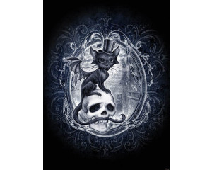 Fototapete von Meowstopheles der Vampirkatze, geheimnisvoll und dunkel.