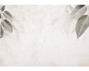 Fotobehang met een minimalistisch botanisch patroon van fijne bladeren in zachte groentinten op een lichte achtergrond.